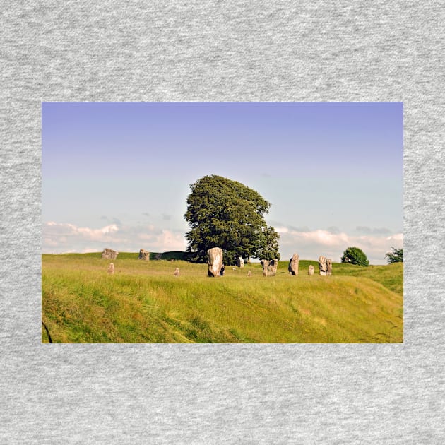 Avebury Stone Circle Wiltshire England by AndyEvansPhotos